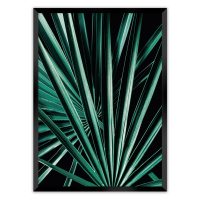 Dekoria Plakát Dark Palm Tree, 21 x  30 cm, Volba rámku: Černý
