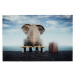 KARE Design Skleněný obraz Elephant Journey 60x40cm