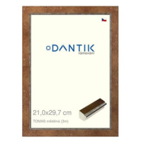 DANTIK rámeček 21 × 29,7, TOMAS měděný sklo čiré