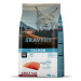 Bravery cat STERILIZED salmon - 2 kg