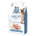 Brit Care Cat Grain-Free Large cats Power & Vitality 2kg