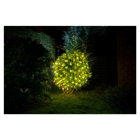 Světelná LED síť Light Creations / 60 LED / 1,2 x 1,2 m / venkovní / teplá bílá Varianta: ivi0