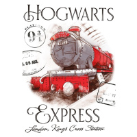 Dětský ručník Harry Potter Bradavický Express 30x50 cm