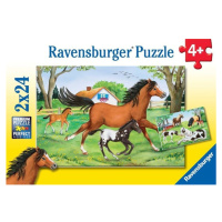 Ravensburger 08882 puzzle svět koní 2x24 dílků