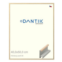 DANTIK rámeček 40 × 50, ALU profil 6035 Dýha dub raw sklo čiré