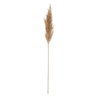 Dekoria Větvička pampové trávy 90cm beige, 8 x 8 x 90 cm