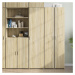 vidaXL Skříň highboard dub sonoma 45 x 42,5 x 185 cm kompozitní dřevo