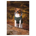 Vsepropejska Bona bunda pro psa s maskáčovou kapucí Barva: Zelená, Délka zad (cm): 20, Obvod hru