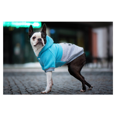 Vsepropejska Chimena sportovní zateplená mikina pro psa Barva: Modro-šedá, Délka zad (cm): 40, O