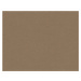 p492470059 A.S. Création vliesová tapeta na zeď Styleguide Colours 2024 jednobarevná, velikost 1