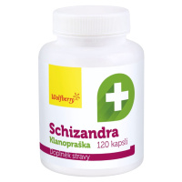 Wolfberry Schizandra extrakt 120 kapslí