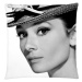 Polštář Audrey Hepburn 03 Mybesthome 40x40 cm Varianta: Povlak na polštář s antialergickou proší