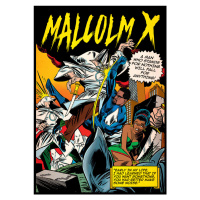 Ilustrace Malcolm X, Ads Libitum / David Redon, 30x40 cm