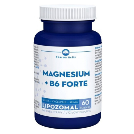 Magnesium +B6 forte lipozomal tob.60