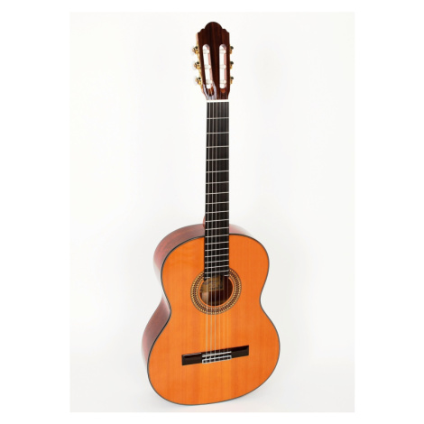 PABLO VITASO VCG-40C - Klasická kytara