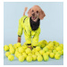 Ochranná pláštěnka pro psy Paikka - žlutý tenis Velikost: 25