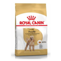 Royal Canin breed pudl 500g
