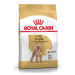 Royal Canin breed pudl 500g