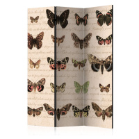 Paraván Retro Style: Butterflies Dekorhome 225x172 cm (5-dílný)