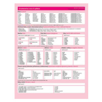 Grammatica ceca in pillole / Česká gramatika v kostce – italská verze - Lída Holá, Pavla Bořilov