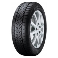 PLATIN 205/45 R 17 88V RP_60_WINTER TL XL M+S 3PMSF FR PLATIN