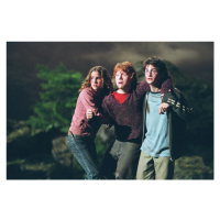 Umělecký tisk Harry Potter - Stick together, 40 × 26.7 cm