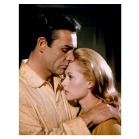 Fotografie Sean Connery And Tippi Hedren, (30 x 40 cm)