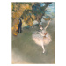 Obrazová reprodukce The Star, or Dancer on the stage, c.1876-77, Degas, Edgar, 30 × 40 cm