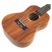 Tanglewood TWT 8