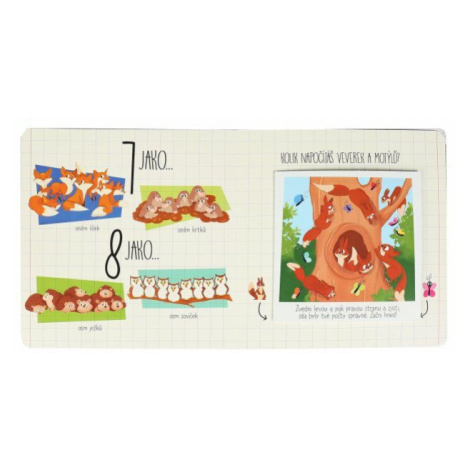 Objevuj čísla Albi