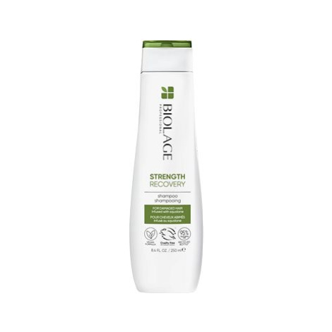 BIOLAGE Strength Recovery šampon pro poškozené vlasy 250 ml