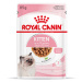 Royal Canin Kitten v omáčce - 12 x 85 g