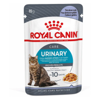 Royal Canin FCN Urinary Care želé 48 × 85 g