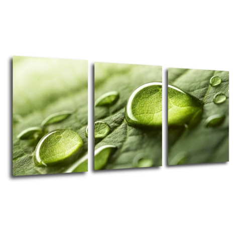 Impresi Obraz Kapky vody na listu - 150 x 70 cm (3 dílný)