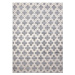 Dywany Łuszczów Kusový koberec Core W6764 Trellis grey/cream - 200x290 cm