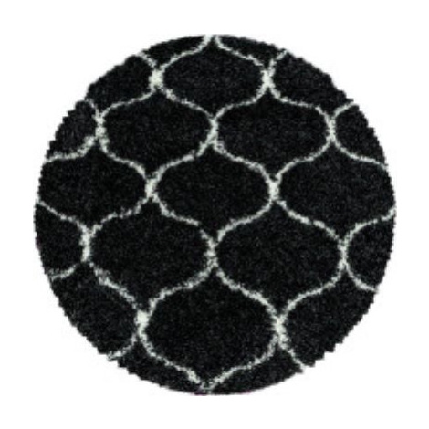 Ayyildiz koberce Kusový koberec Salsa Shaggy 3201 anthrazit kruh Rozměry koberců: 120x120 (průmě