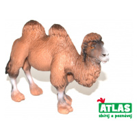 Atlas C Velbloud 11cm