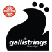 Galli RS1070 Nickel 8-String Regular