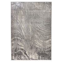 Flair Rugs koberce Kusový koberec Eris Arissa Silver - 120x170 cm