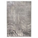 Flair Rugs koberce Kusový koberec Eris Arissa Silver - 120x170 cm