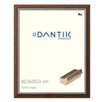 DANTIK rámeček 40 × 50, TAIGA hnědý sklo čiré