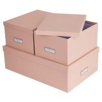 Kartonové úložné boxy s víkem v sadě 3 ks Inge – Bigso Box of Sweden