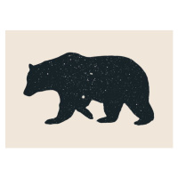 Bodart, Florent - Obrazová reprodukce Bear, (40 x 30 cm)