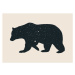 Obrazová reprodukce Bear, Bodart, Florent, 40x30 cm