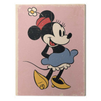 Obraz na plátně Minnie - Retro, 2 - 30×40 cm