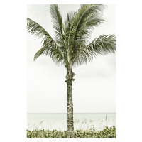 Fotografie Palm Tree at the beach | Vintage, Melanie Viola, 26.7 × 40 cm