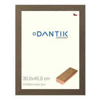 DANTIK rámeček 30 × 40, ATHINA hnědý plexi čiré