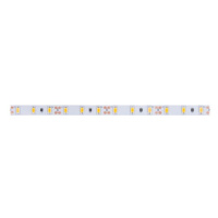 LED PÁSEK CW 24V 14,4W 10mm IP 68 - 6030 studená bílá (kotouč 5m)