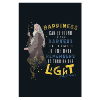 Umělecký tisk Harry Potter - Quote, (26.7 x 40 cm)