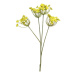 Kopr řezaný umělý 4 květy žlutý 68cm